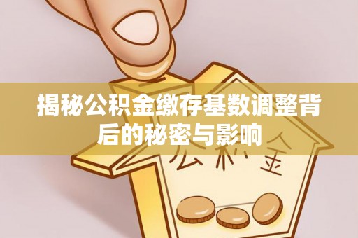 湖州揭秘公积金缴存基数调整背后的秘密与影响