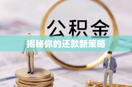 湖州揭秘你的还款新策略