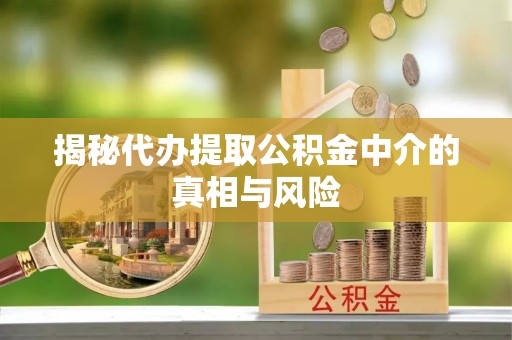湖州揭秘代办提取公积金中介的真相与风险