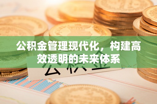 湖州公积金管理现代化，构建高效透明的未来体系