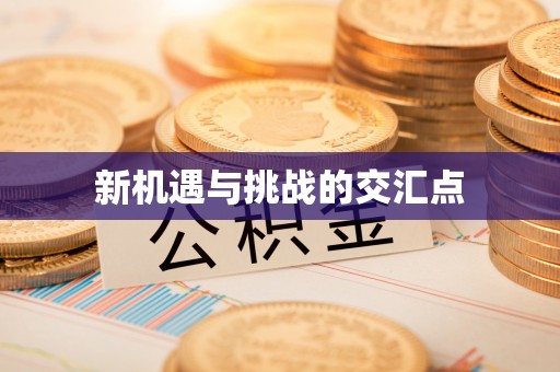 湖州新机遇与挑战的交汇点