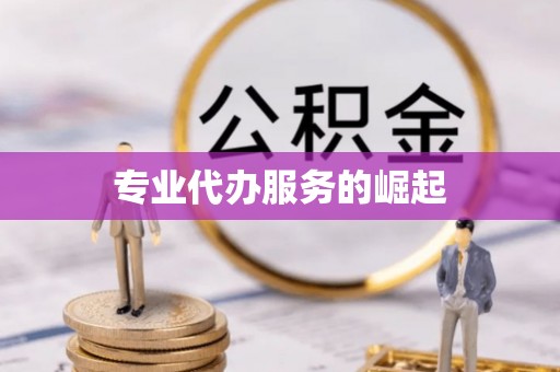 湖州专业代办服务的崛起