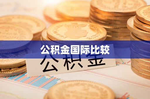 湖州公积金国际比较