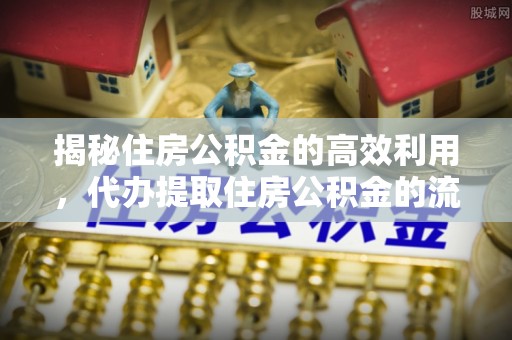 湖州揭秘住房公积金的高效利用，代办提取住房公积金的流程与技巧