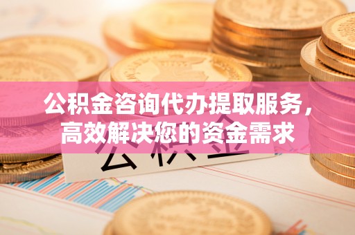 湖州公积金咨询代办提取服务，高效解决您的资金需求