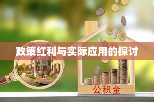 湖州政策红利与实际应用的探讨