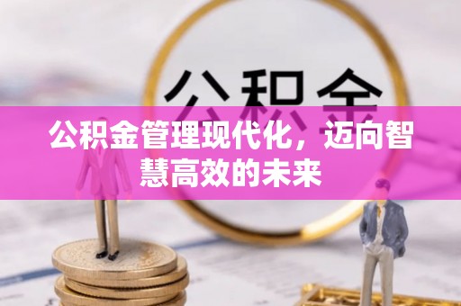 湖州公积金管理现代化，迈向智慧高效的未来