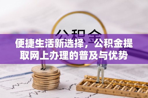 湖州便捷生活新选择，公积金提取网上办理的普及与优势