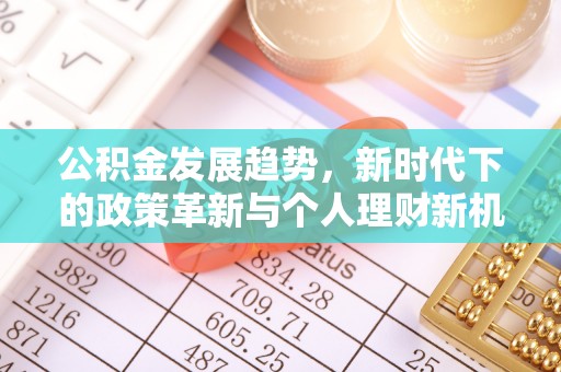 湖州公积金发展趋势，新时代下的政策革新与个人理财新机遇