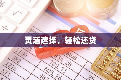 湖州灵活选择，轻松还贷
