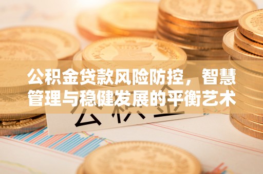 湖州公积金贷款风险防控，智慧管理与稳健发展的平衡艺术