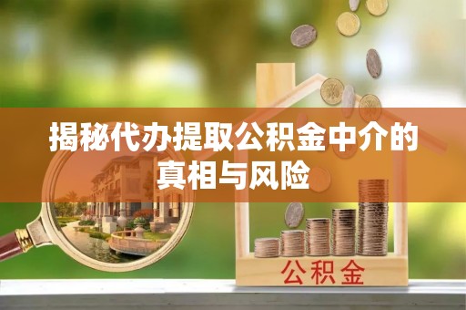 湖州揭秘代办提取公积金中介的真相与风险