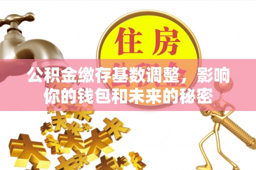 湖州公积金缴存基数调整，影响你的钱包和未来的秘密
