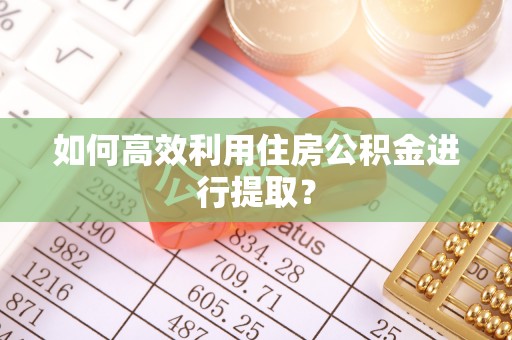 湖州如何高效利用住房公积金进行提取？